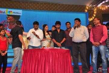 Bhale Bhale Magadivoy Movie Success Meet at Vijayawada
